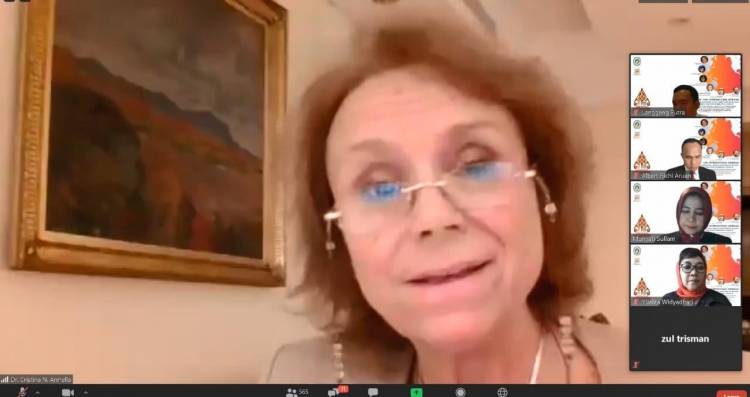 WEBINAR INTERNASIONAL INI - UINL